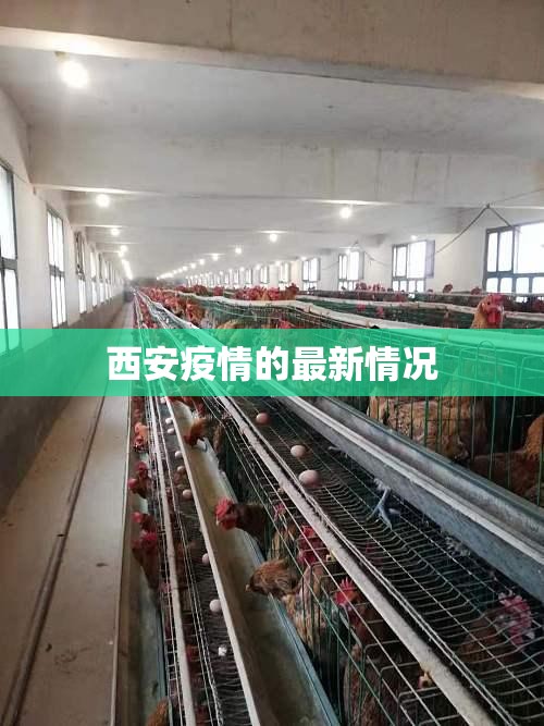 西安疫情的最新情况/西安疫情最新情况2020 西安疫情的最新情况/西安疫情最新情况2020