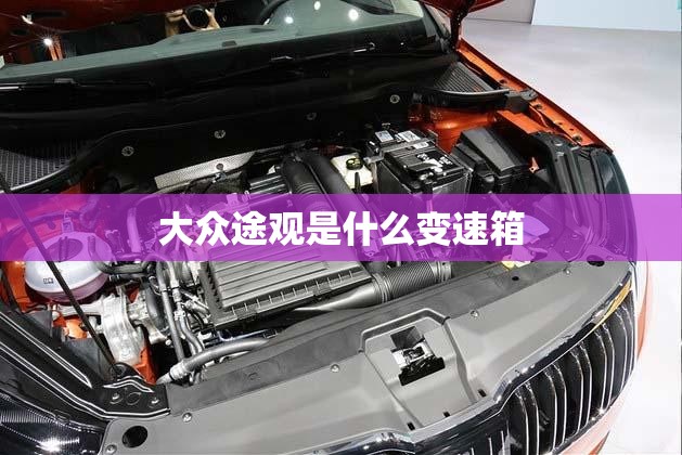 大众途观是什么变速箱(斯柯达明锐变速箱多少钱一套) 大众途观是什么变速箱(斯柯达明锐变速箱多少钱一套)
