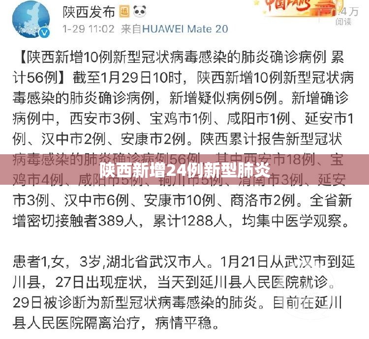 陕西新增24例新型肺炎/陕西新增24例新型肺炎病例 陕西新增24例新型肺炎/陕西新增24例新型肺炎病例