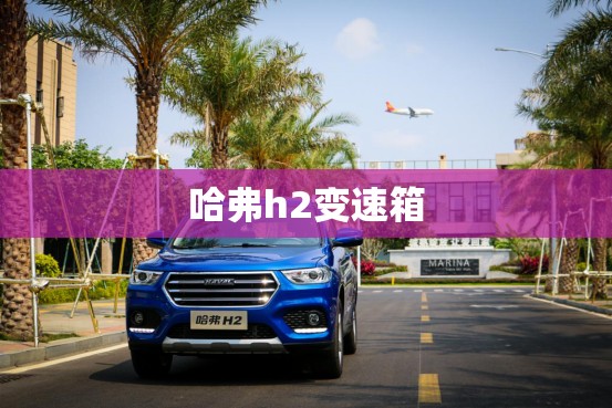 哈弗h2变速箱(哈弗h2变速箱油) 哈弗h2变速箱(哈弗h2变速箱油)