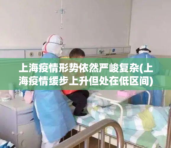 上海疫情形势依然严峻复杂(上海疫情缓步上升但处在低区间)