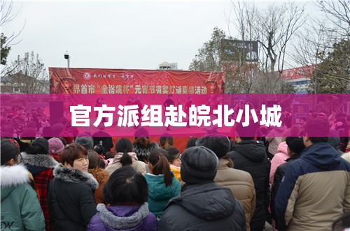 【官方派组赴皖北小城,皖北小保队】 【官方派组赴皖北小城,皖北小保队】