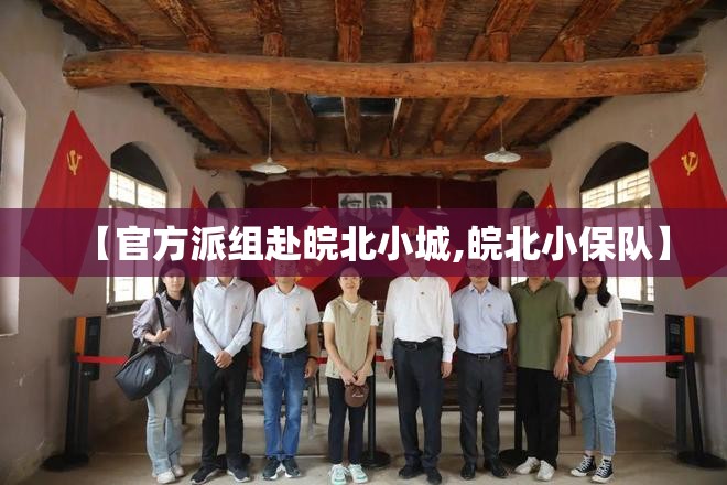 【官方派组赴皖北小城,皖北小保队】 【官方派组赴皖北小城,皖北小保队】